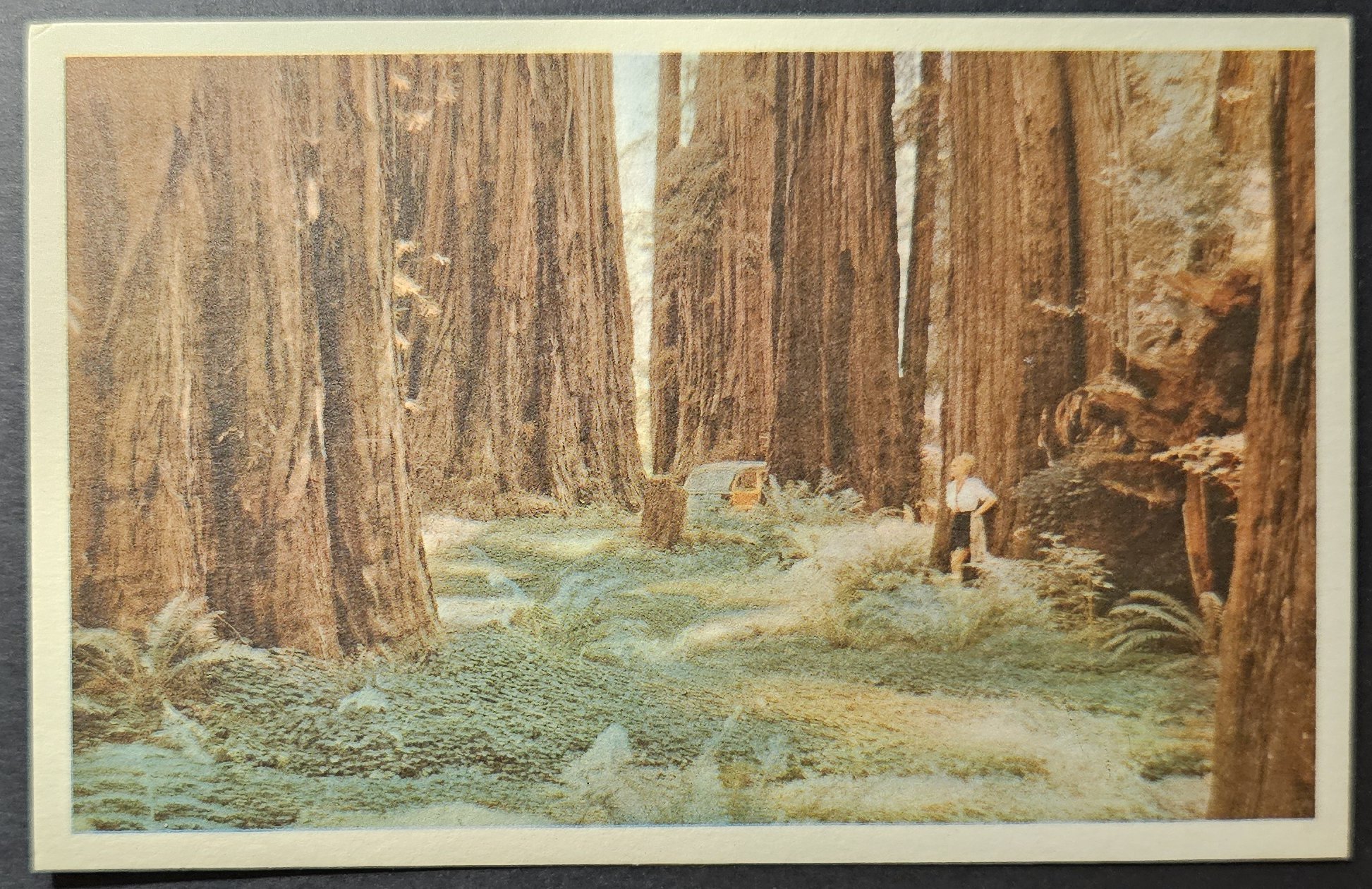 (image for) postcard USA - CA - California #0096